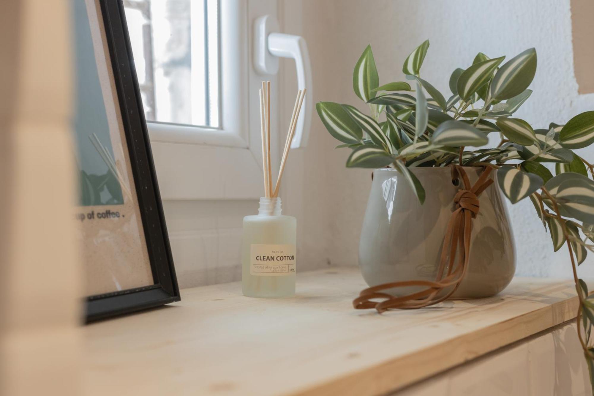 The Cozy Nest In The Center Apartment *